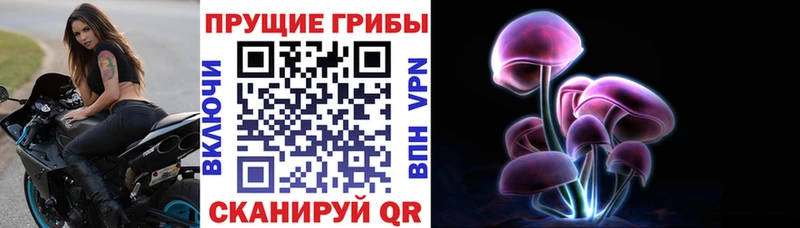 Галлюциногенные грибы Cubensis  Чёрмоз 